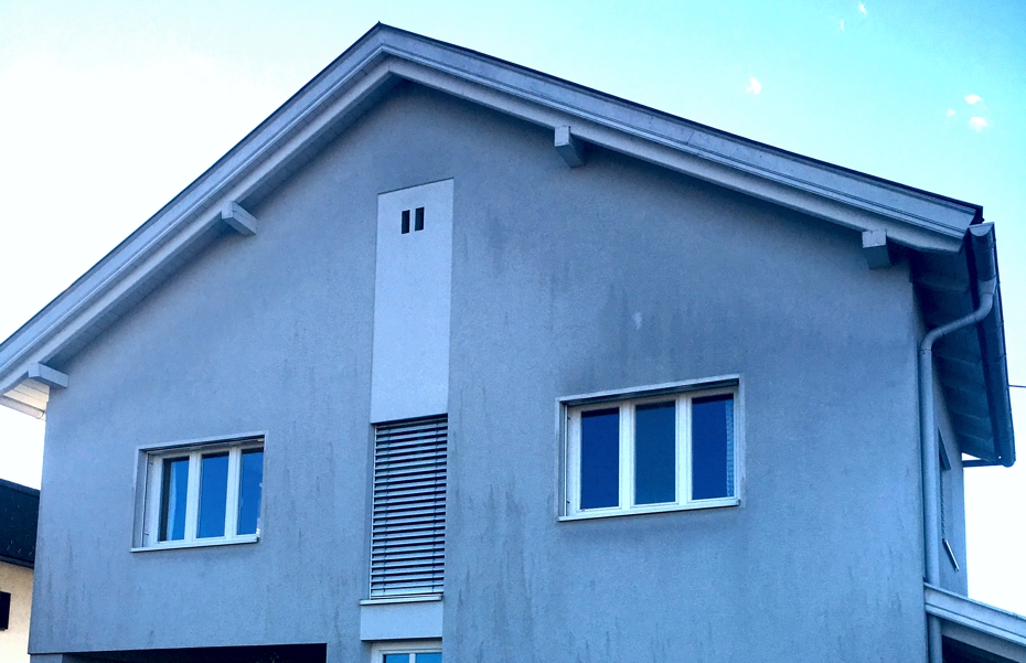 Algenbefall-Fassade1