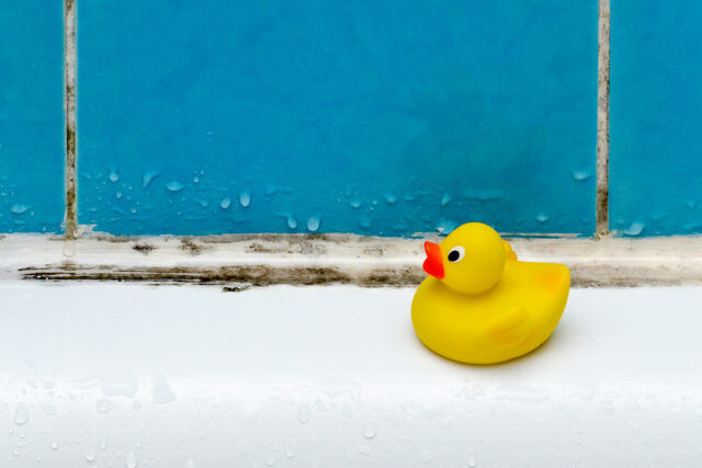 mold in bath, a duck toy, bathroom
