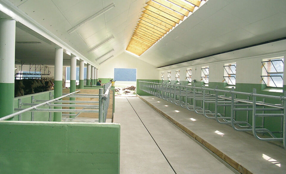Melkstand0047