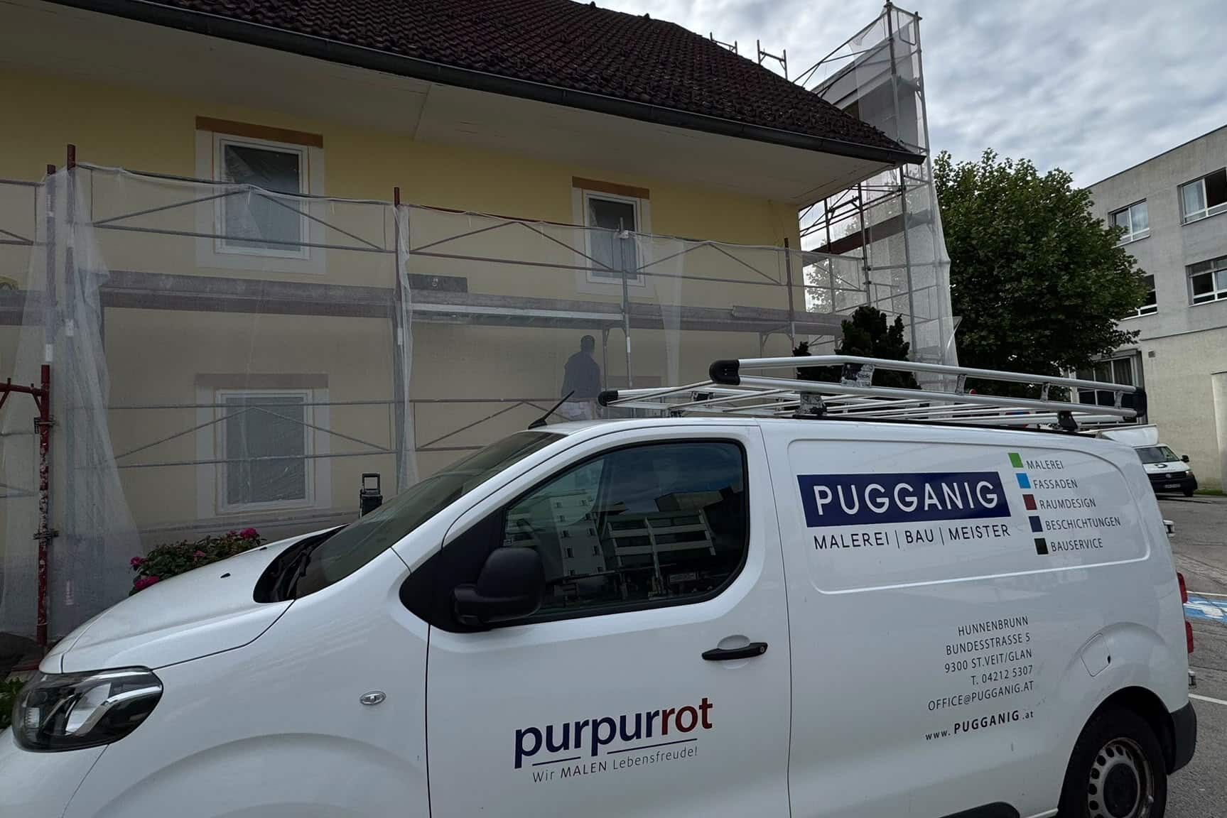 Purpurrot-Gerüst-Netz