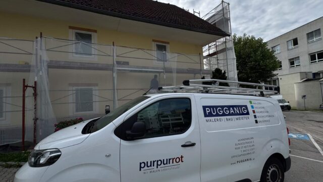 Purpurrot-Gerüst-Netz